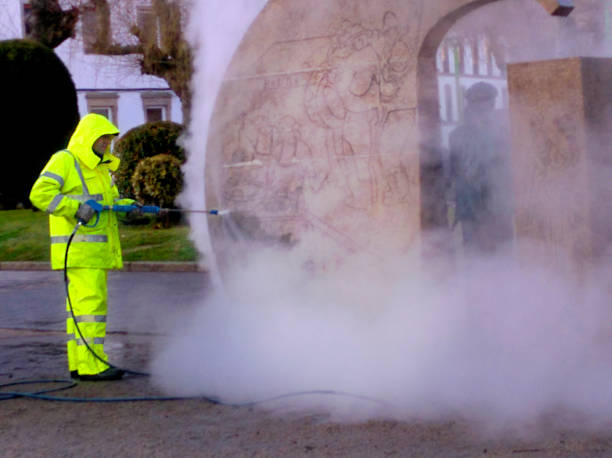 Best Best Pressure Washing Companies  in Cane Savannah, SC